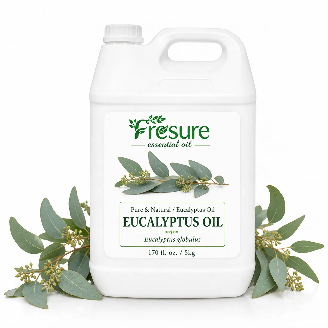 Eucalyptus Oil